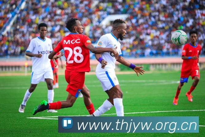 欧宝官方网站入口平台生态图