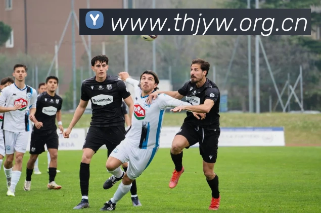 欧宝官方网站入口APP 封面图